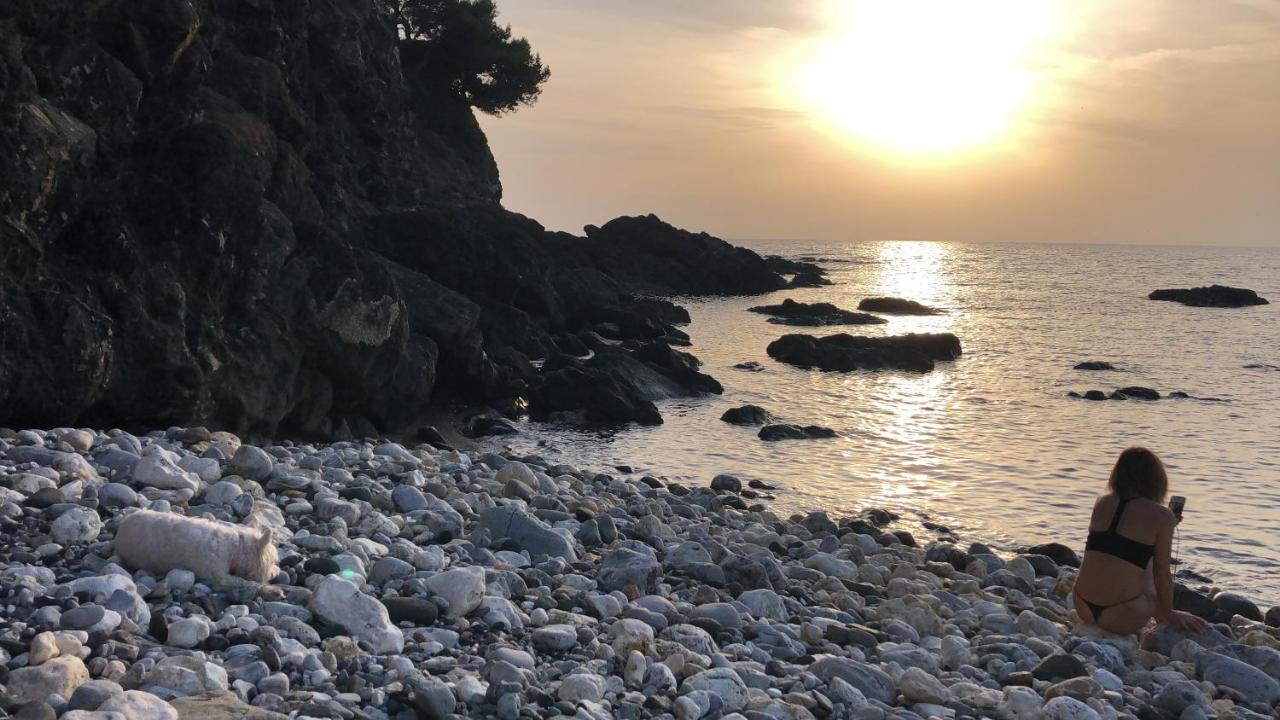 Livorno Apartment エクステリア 写真