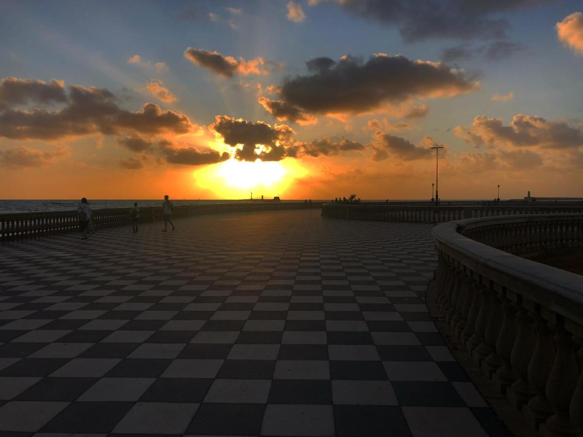 Livorno Apartment エクステリア 写真